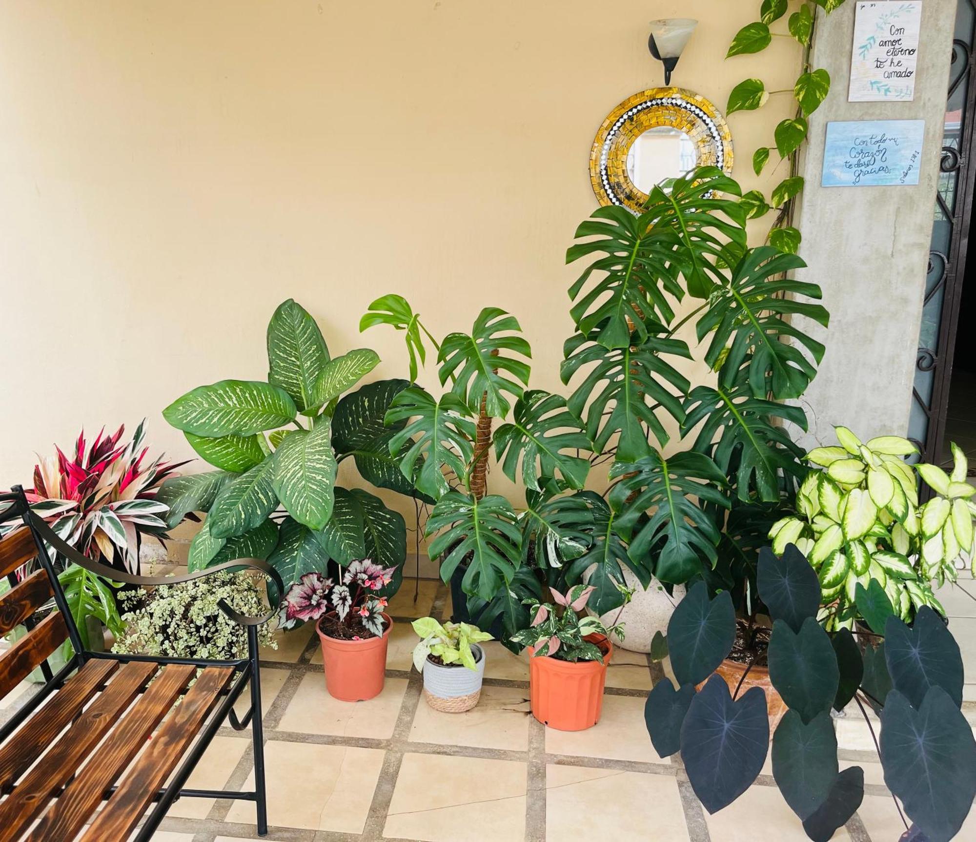 אסקזו Ester'S Place מראה חיצוני תמונה